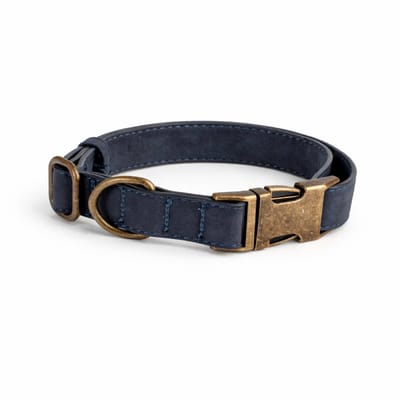 Dierboetiek® Leren Halsband - Roestvrijstaal - Blauw - L