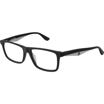 BMW Brilrand BW5062-H 020 55