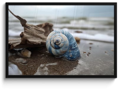 Poster in lijst - Fotolijst 90x60 cm - Posters - Schelp - Strand - Blauw - Zee - Posterlijst zwart - Decoratie - Wanddecoratie woonkamer - Muurdecoratie slaapkamer
