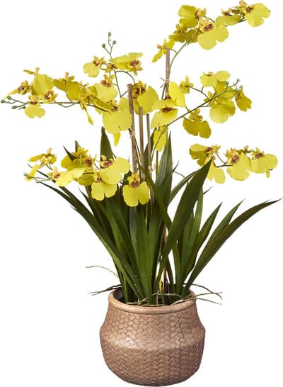 Kunstplant wilde Orchidee 6-tak geel H60cm - HTT Decorations kunstplanten
