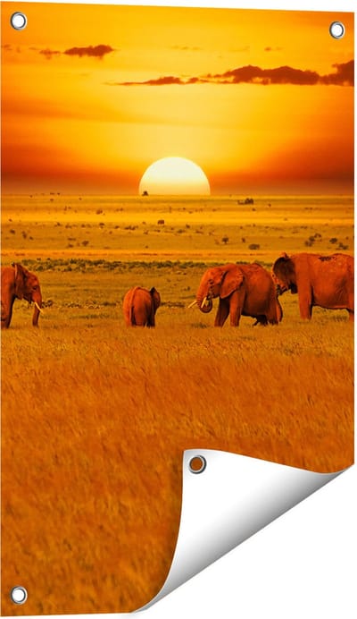 Gards Tuinposter Olifanten in het Wild - Zonsondergang - 40x60 cm - Tuindoek - Tuindecoratie - Wanddecoratie buiten - Tuinschilderij