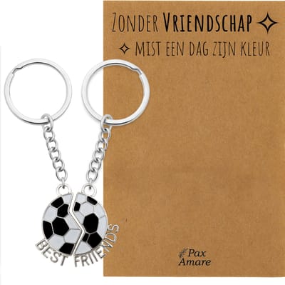 BFF Sleutelhanger voor 2 'Zonder Vriendschap mist een dag zijn kleur' - Magnetische Voetbal - Sleutelhanger set op Cadeau Kaartje - Zilverkleurig - Vriendschap Symbool - Pax Amare