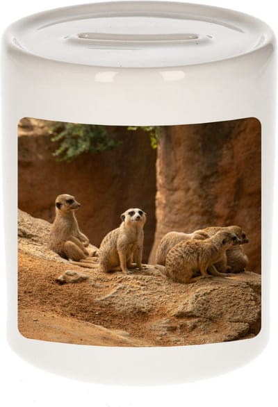 Dieren stokstaartje foto spaarpot 9 cm jongens en meisjes - Cadeau spaarpotten stokstaartjes liefhebber