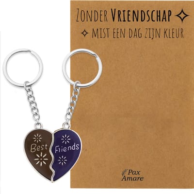 BFF Sleutelhanger voor 2 'Zonder Vriendschap mist een dag zijn kleur' - Magnetisch Hartje - VERANDERT VAN KLEUR! - Sleutelhanger set op Cadeau Kaartje - Zilverkleurig - Vriendschap Symbool - Pax Amare