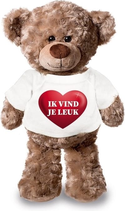 Knuffel teddybeer hartje - ik vind je leuk - 24 cm - pluche - met shirt