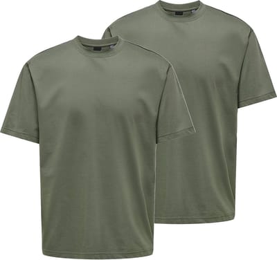 Only & Sons Heren t-shirt 2 pack Onsfred