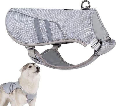 Honden Koelvest - Hondenjas Koel - Hitte Verminderen - Verdampingstechnologie - XL - Blauw