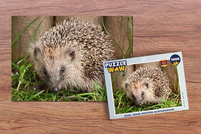 Puzzel Egel voor houten achtergrond - Legpuzzel - Puzzel 1000 stukjes volwassenen