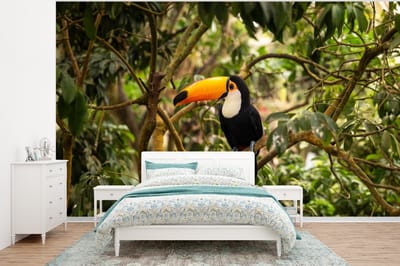 Behang - Fotobehang Vogel - Toekan - Jungle - Natuur - Tropisch - Breedte 400 cm x hoogte 300 cm