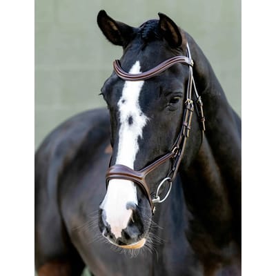 Hoofdstellen voor paarden LeMieux