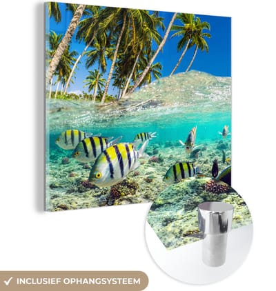 MuchoWow® Glasschilderij 90x90 cm - Schilderij acrylglas - Zee - Vissen - Koraal - Foto op glas - Muurdecoratie woonkamer - Wanddecoratie slaapkamer - Schilderijen