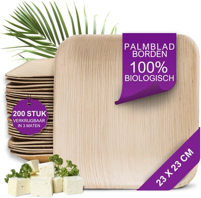 Dailygoods- Palmblad Borden - 200x Vierkant 23x23cm - Composteerbaar Wegwerp Servies - Milieuvriendelijk Feest Servies - Natuurlijk Alternatief - Elegant en Duurzaam - Wegwerpservies