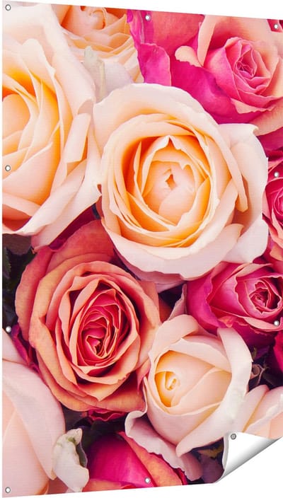 Gards Tuinposter Roze Rozen Achtergrond - Bloemen - 100x150 cm - Tuindoek - Tuindecoratie - Wanddecoratie buiten - Tuinschilderij