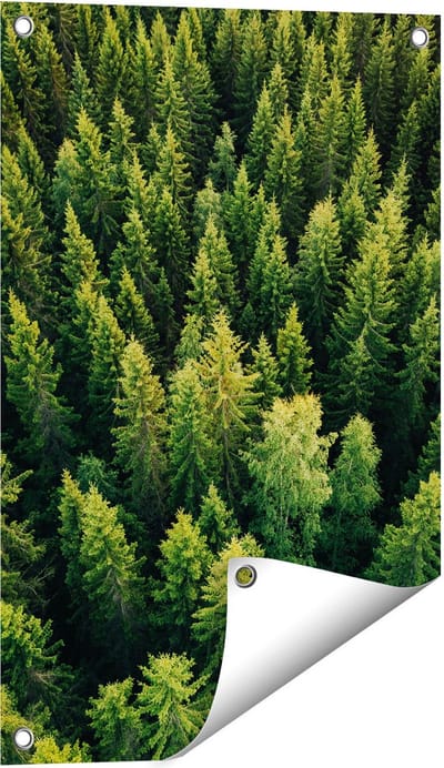Gards Tuinposter Bos met Bomen vanaf Boven - 40x60 cm - Tuindoek - Tuindecoratie - Wanddecoratie buiten - Tuinschilderij