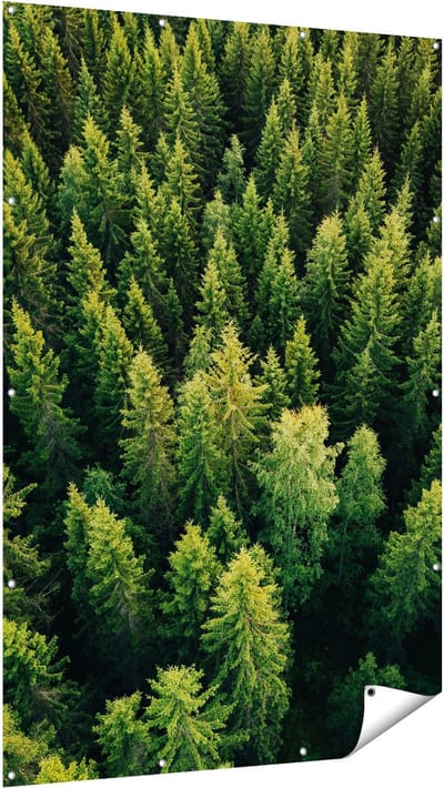 Gards Tuinposter Bos met Bomen vanaf Boven - 120x180 cm - Tuindoek - Tuindecoratie - Wanddecoratie buiten - Tuinschilderij