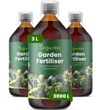 Vloeibare Meststof Voor Tuin 3X1 L Voor 3000 L - Npk 2-1-8 - Ondersteunt Vitale Groei Van Rozen - Heesters - Vaste Planten - Bloembollen En Gemengde Borders - Verbetert Weerbaarheid Bij Snoei - Verbetert Bloeiduur - Bloemgrootte - Organifer