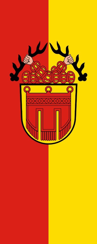 Vlag Tübingen 100x150cm