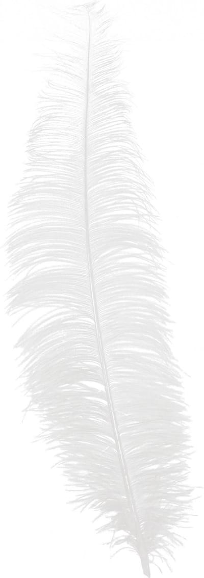Grote struisvogelveer/pietenveer - wit - 40 cm - Charleston/jaren 20/twenties thema verkleed accessoire