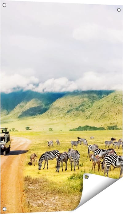 Gards Tuinposter Safari Auto tussen de Zebra's - 60x90 cm - Tuindoek - Tuindecoratie - Wanddecoratie buiten - Tuinschilderij