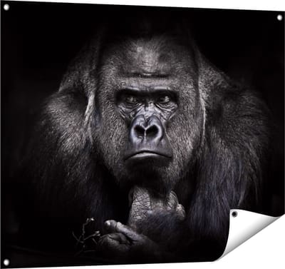 Gards Tuinposter Gorilla - Zwart Wit - 100x80 cm - Tuindoek - Tuindecoratie - Wanddecoratie buiten - Tuinschilderij