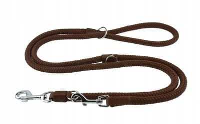 Champion Verstelbare Hondenlijn 2,5m/1,4cm - Bruin, Stevig
