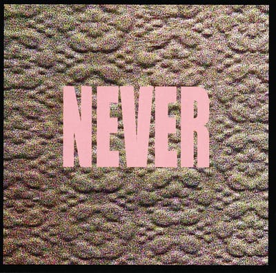 Micachu & The Shapes - Never (CD | LP)