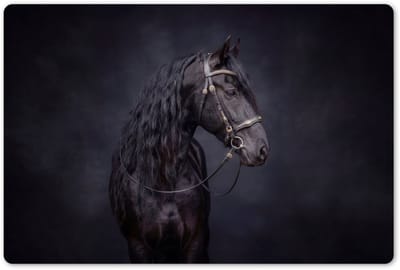Placemats 45x30 cm - Placemat kunststof - 1 stuk - Portret - Paard - Donker - Borden onderleggers - Decoratie voor op tafel - Keuken tafeldecoratie accessoires - Vinyl onderlegger - Tafelversiering