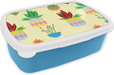 Broodtrommel Blauw - Lunchbox - Brooddoos - Planten - Bloempot - Patronen - Regenboog - 18x12x6 cm - Kinderen - Jongen
