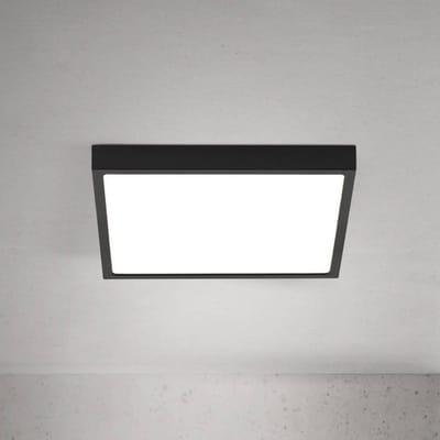 ORION LED plafondlamp Disc, zwart Lengte 24 cm, CCT Metaal