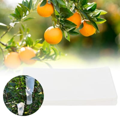 Enveloppe Papier sulfurisé Sac de Rangement pour Semences d'Élevage pour Jardin Familial (50 pièces 30x17cm)
