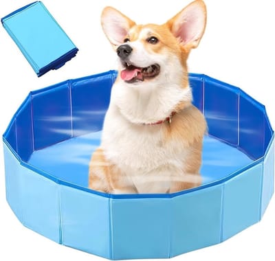 Honden- en kattenzwembad 60 x 20 cm met afvoerklep, antislip ontwerp voor veilig spelen in de tuin