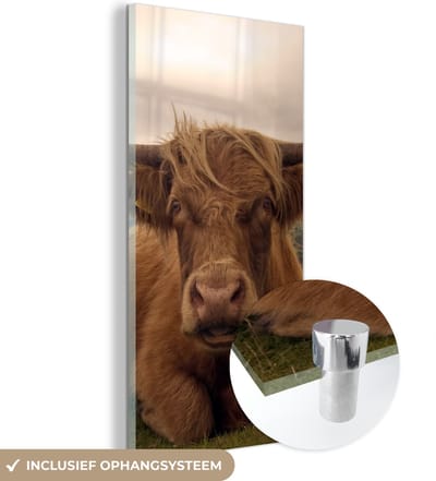 MuchoWow® Glasschilderij 20x40 cm - Schilderij acrylglas - Schotse Hooglander - Dieren - Berg - Foto op glas - Schilderijen