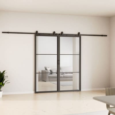 Schulte complete glazen dubbele schuifdeur - 176x203 - veiligheidsglas - décor Loftstyle - zwart
