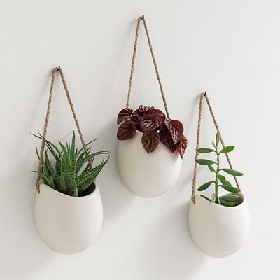 Wandplantenbakken Ellie - 3 stuks Keramische Hangpotten voor Binnen en Buiten