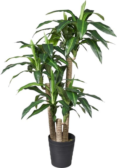 Kunstplant Dracaena Fragans H135cm - HTT Decorations kunstplanten