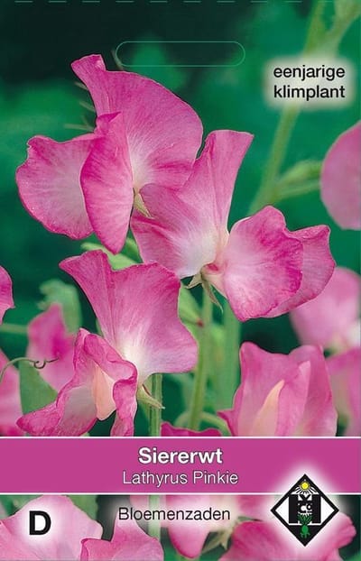 2 stuks Van Hemert & Co Lathyrus odoratus Pinkie
