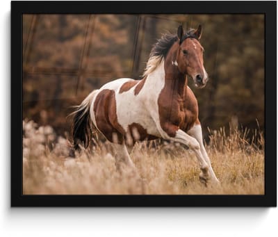 Poster in lijst - Fotolijst 40x30 cm - Posters - Paard - Bruin - Gras - Posterlijst zwart - Decoratie - Wanddecoratie woonkamer - Muurdecoratie slaapkamer