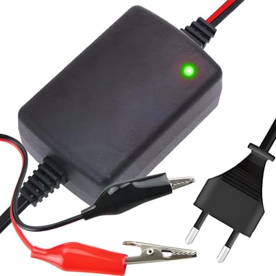 Dailygoody - Acculader 12V - Gelaccu lader - Duurzaam en betrouwbaar - Compact formaat - Oplaadkabel 1,3 m - Geschikt voor auto's, motoren, boten - Mo..