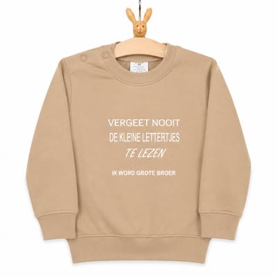 Trui Aankondiging zwangerschap lees altijd / vergeet nooit de kleine lettertjes te lezen / Ik word grote broer | beige | maat 74 zwangerschap aankondiging bekendmaking Baby big bro brother Grote Broer