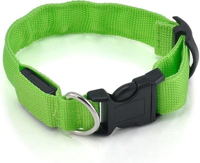 Led hondenhalsband lichtgevend, met optie knipperend licht,  licht groen