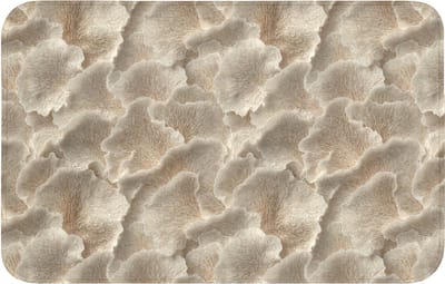 Badmat 80x50 cm - Antislip - Waaierstructuren - Beige - Vezeltextuur - Badmatten voor badkamer - Badkamermat - Douchemat - Badkamer mat
