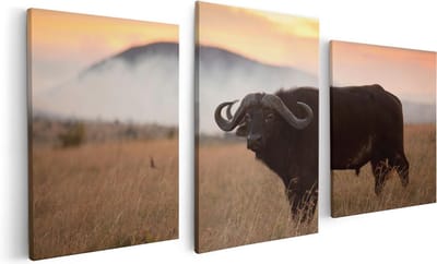 Artaza Canvas Schilderij Drieluik Buffel in het Gras - 120x60 - Foto Op Canvas - Canvas Print