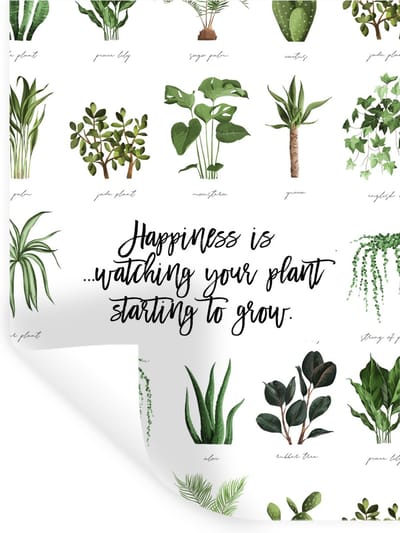 Muurstickers - Sticker Folie - Happiness is... watching your plant starting to grow - Spreuken - Quotes - 30x40 cm - Plakfolie - Muurstickers Kinderkamer - Zelfklevend Behang - Zelfklevend behangpapier - Stickerfolie