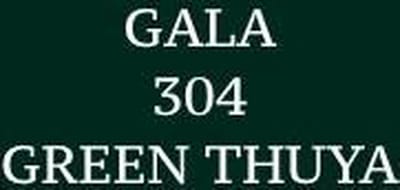 Gala Vert Thuya 304 Shoe Cream