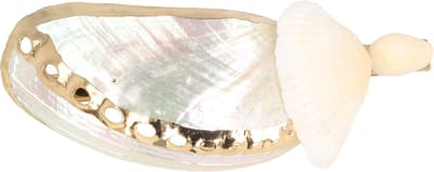 Haarsoires Haarspeld Duckklem 8cm – Schelpen Parelmoer – Goud Creme - Sterke Haarclip voor Styling & Dagelijks Gebruik - Hair Clip - Decoratieve Haaraccessoire