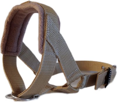 Hoofdhalster hond - Anti trek - Beige - Maat L - Gevoerd - Antitrek hoofdhalster hond - Halster hond - Anti trek hond - Training band