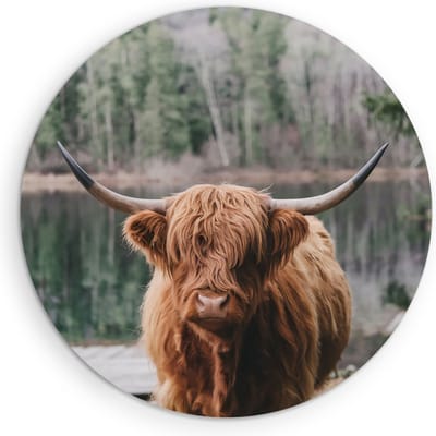Saammp Muurcirkel Hout - Schotse Hooglander Koe bij zonsopgang in herfstachtig bos - Dieren - Natuur - Ø 90 - Wandcirkel - Wanddecoratie Cirkel - muurdecoratie Woonkamer - Slaapkamer decoratie - Rond Schilderij