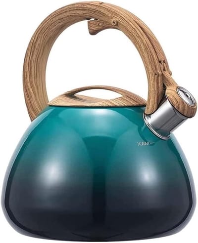 Fluitketel - Waterkoker Theepot - Water Koken - Verdikte Bodem - 2.5L - Groen