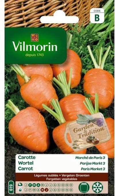 Wortel Parijse Markt - Daucus carota