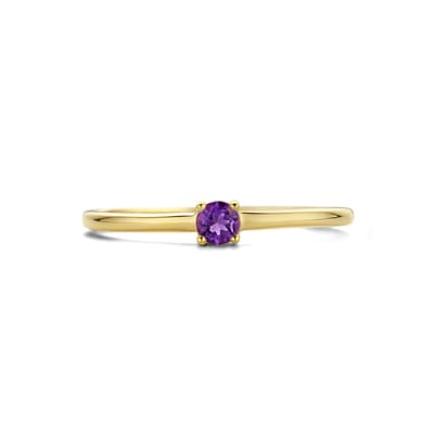 Ring Met Geboortesteen Amethist Februari